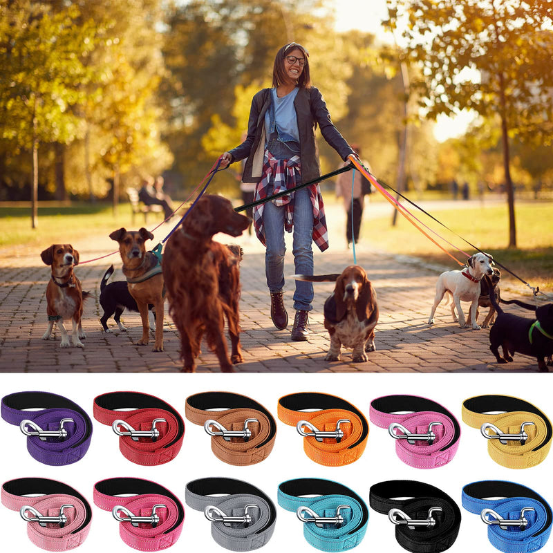 Amylove 12 Pack Dog Leash Bulk, Double Sided Reflective, Nylon Leashes with Padded Handle for Small, Medium, and Large Dogs, 5 Feet Long, Puppy Leashes for Walking and Training - PawsPlanet Australia