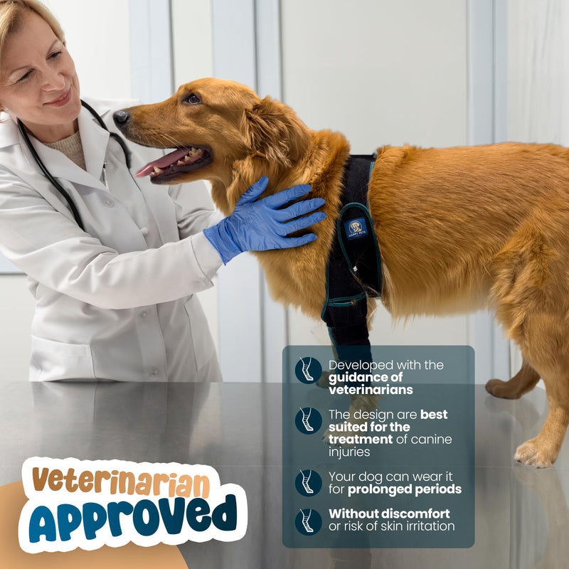 Dog Knee Brace Adjustable Front Hind Leg Brace for Cruciate Ligament Injury, Luxating Patella, Torn ACL Medium GREEN - PawsPlanet Australia