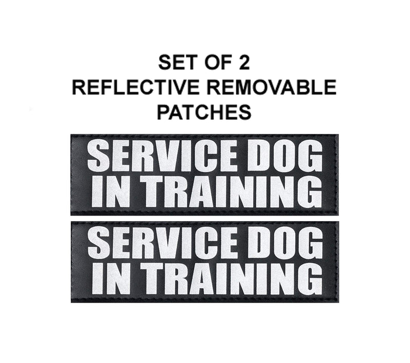 Doggie Stylz Official Service Dog in Training Vest Harness Bundle Kit. Includes Set of Service Dog + Service Dog in Training Removable Reflective Patches + 30 inch Lead + 2 ID Dog Tags Girth 19-25" Red - PawsPlanet Australia