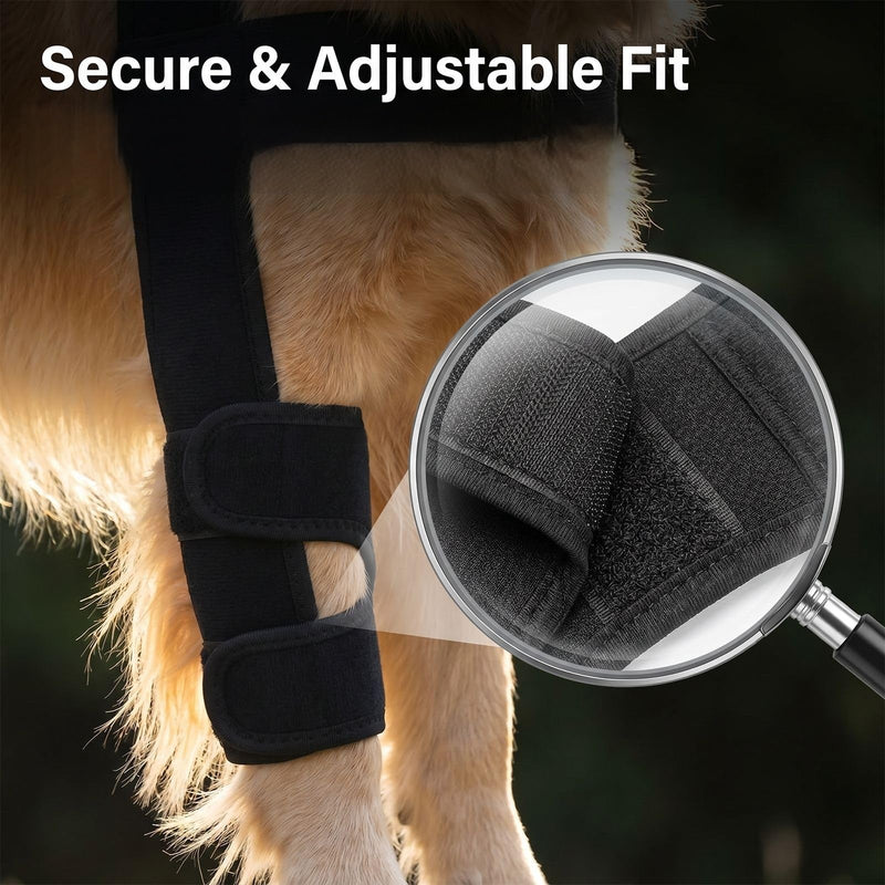 Dog Double Front Leg Braces, Breathable Canine Front Leg Support Wrap, Adjustable Dog Knee Brace for Joint Injury, Arthritis, Post Surgery Recovery, Outdoor Walking Protection, Black S Size