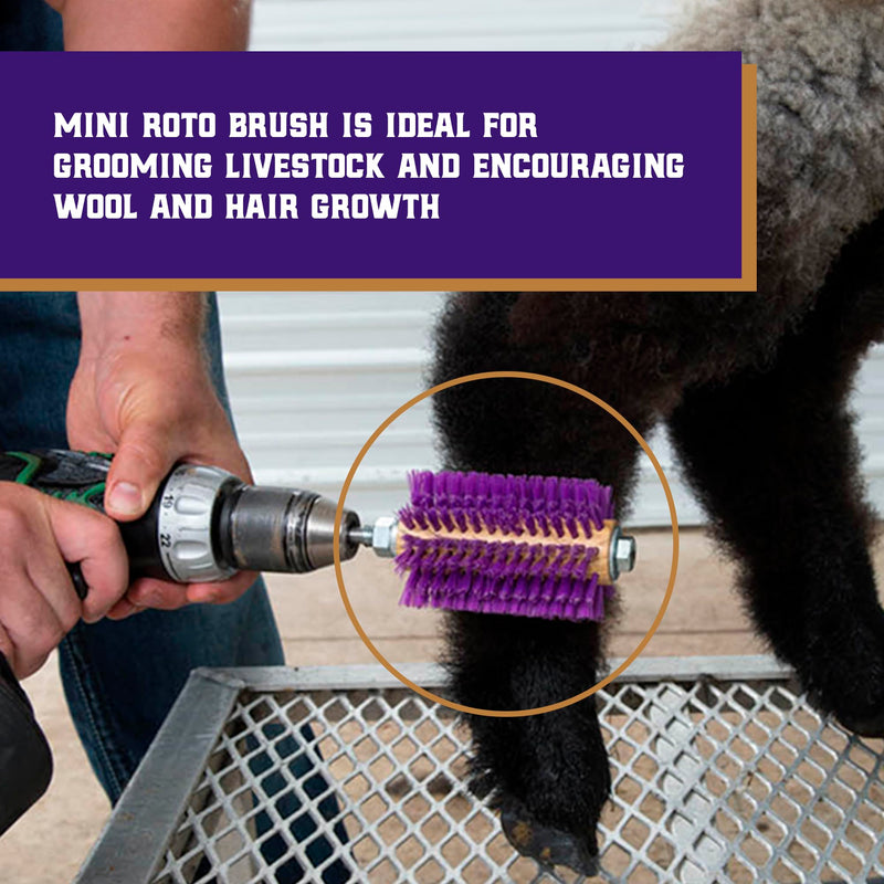 Weaver Leather Mini Roto Brush for Livestock, Wool/Hair Stimulating and Grooming Brush for Goat Sheep Cattle, Use with Drill, Coat Deshedding Tool 4" Long