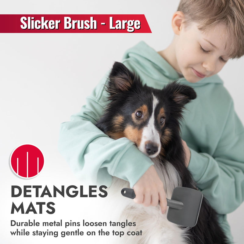 KONG Large Slicker Brush – Removes Loose Hair, Reduces Shedding, Comfortable Non-Slip Grip, Long Metal Pins, for Medium to Large Dogs with Medium to Long Coats, Red/Gray - PawsPlanet Australia