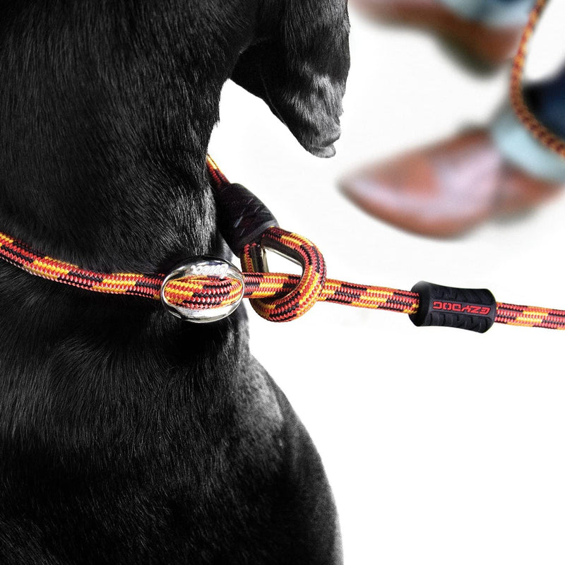 EZYDOG Luca Lead | 1.7m, Climbing Rope, All-In-One, One-Size-Fits-All, Easy to Slip On, No Harness or Collar Needed (Blue) Blue