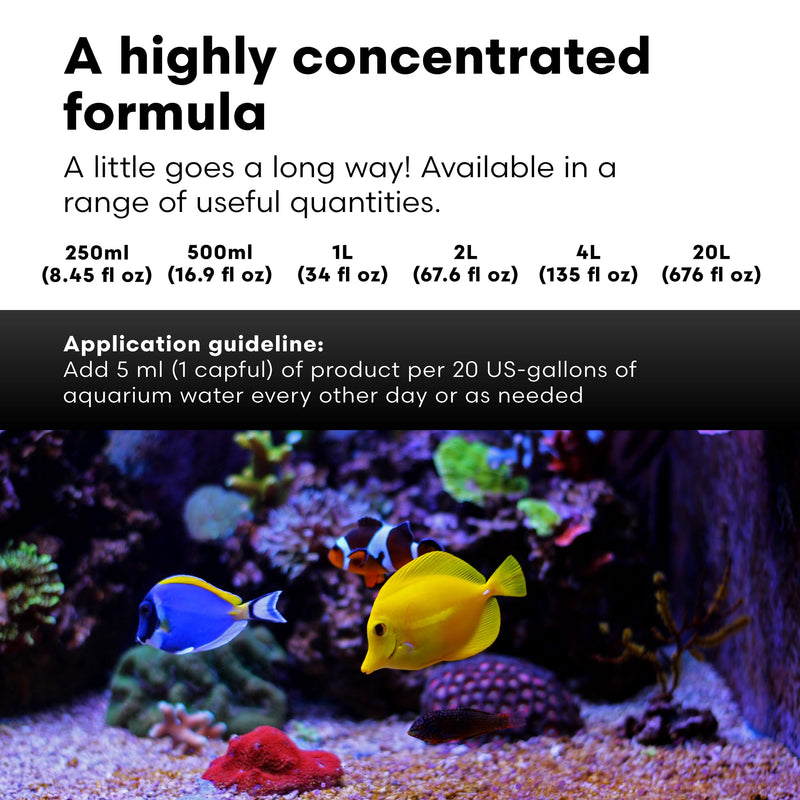 Brightwell Aquatics Magnesion Liquid Salt Water Conditioner - Concentrated Magnesium Supplement For Reef and Marine Aquariums, 16.9 fl oz 500-ml