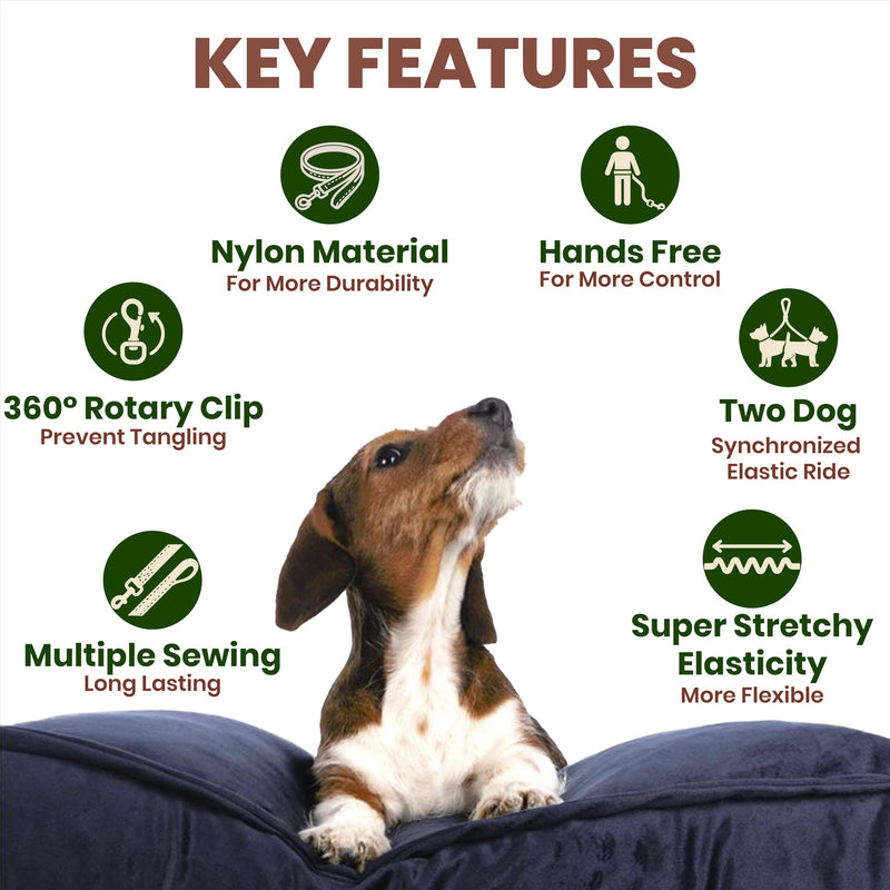 ?????????? ???????? Hands Free Dog Leash for 2 Dogs – Dual Bungee Running Leash with Adjustable Waist Belt, Tangle-Free 360° Swivel, Shock Absorbing, Padded Handles & Zipper Pouch