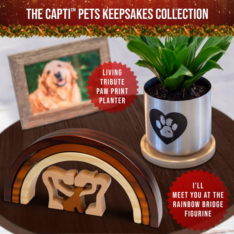 Rainbow Bridge Dog Memorial Gifts, Pet Memorial - I'll Meet You at The Rainbow Bridge - Pet Loss Gifts, Bereavement, Sympathy Keepsake Dog Mom, Dog Dad for Loss of Pet (Dog and Family) Dog and Family - PawsPlanet Australia