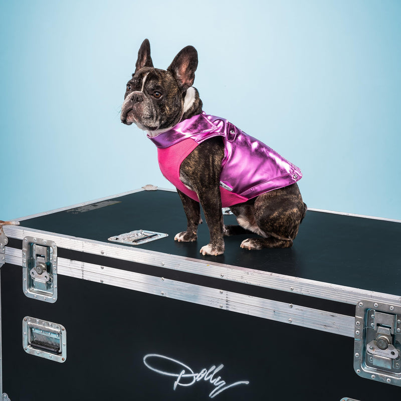 Doggy Parton Rhinestone Bomber Jacket for Dogs - Small, Pink