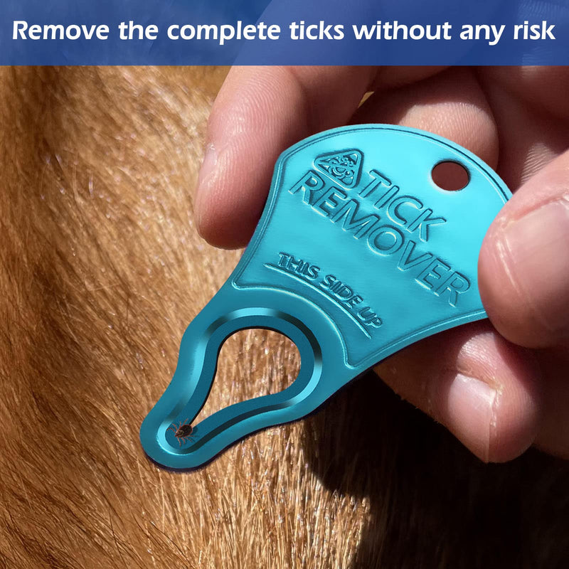 3 Pack Tick Remover Tool Portable, Tick Removal Tool for Pets, Humans and Animals, Safe and Portable, Pain-Free and Effective, Essential Tools for Outdoor Activities - PawsPlanet Australia