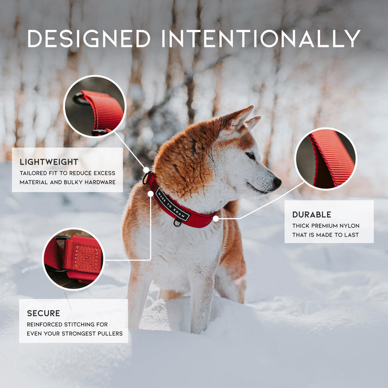 MADE TO ROAM Premium Everyday Dog Collar - Martingale Style No Pull Vegan Leather Collar, Heavy Duty and Lightweight for Small, Medium, Large Dogs (Oregon Haze, Size 1) Oregon Haze