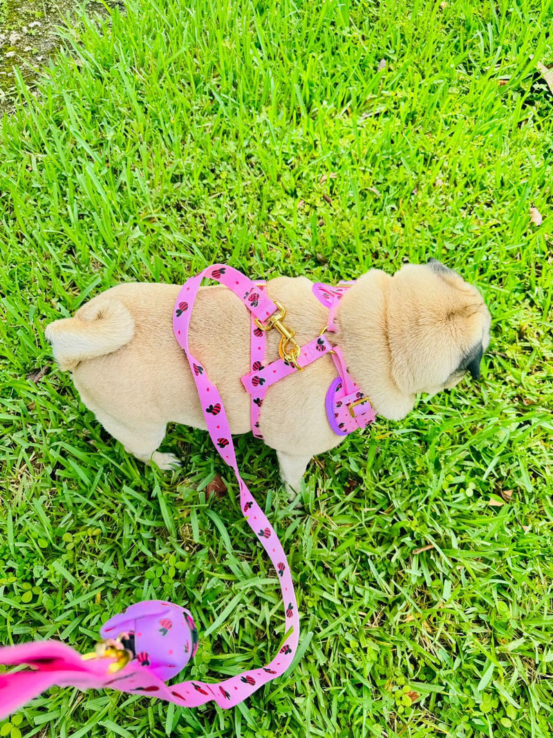 Medium Dog Harness and Leash Set – No Pull Harness, Leash, Collar & Poop Bag Holder – Matching Set with Gold Hardware – Breathable, Adjustable, Stylish, and Comfortable for Daily Walks - Pink Bees Medium - PawsPlanet Australia