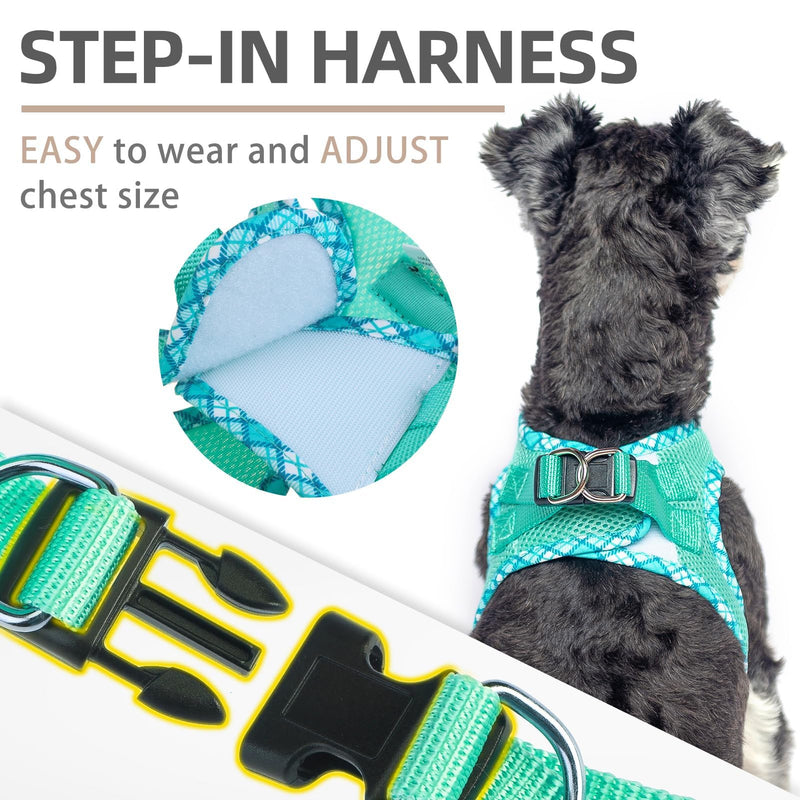 PUPTECK Dog Harness and Leash Set for Small Medium Dogs No Pull Step-in Soft Mesh Puppy Cat Vest Harnesses Reflective at Night, Green S S(CHEST 14.5"-16", 6.6-14 lbs) #1 Green(Basic Mesh) - PawsPlanet Australia