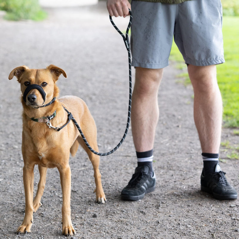 Total Pet Figure of 8 Dog Lead - Anti Pull Stop Dogs Pulling - Rope Slip Leads with Padded Nose Support (Black, Medium/Large) Black