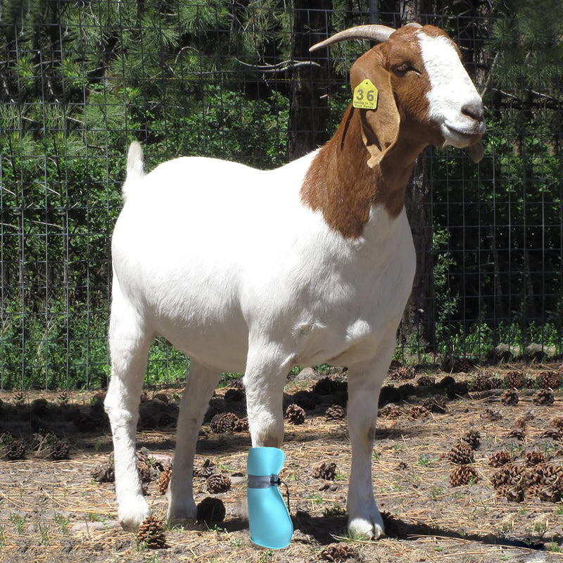 Goat Boot Protective Shoes for Sheep Goat Hoof Footsore Foot Rot - PawsPlanet Australia