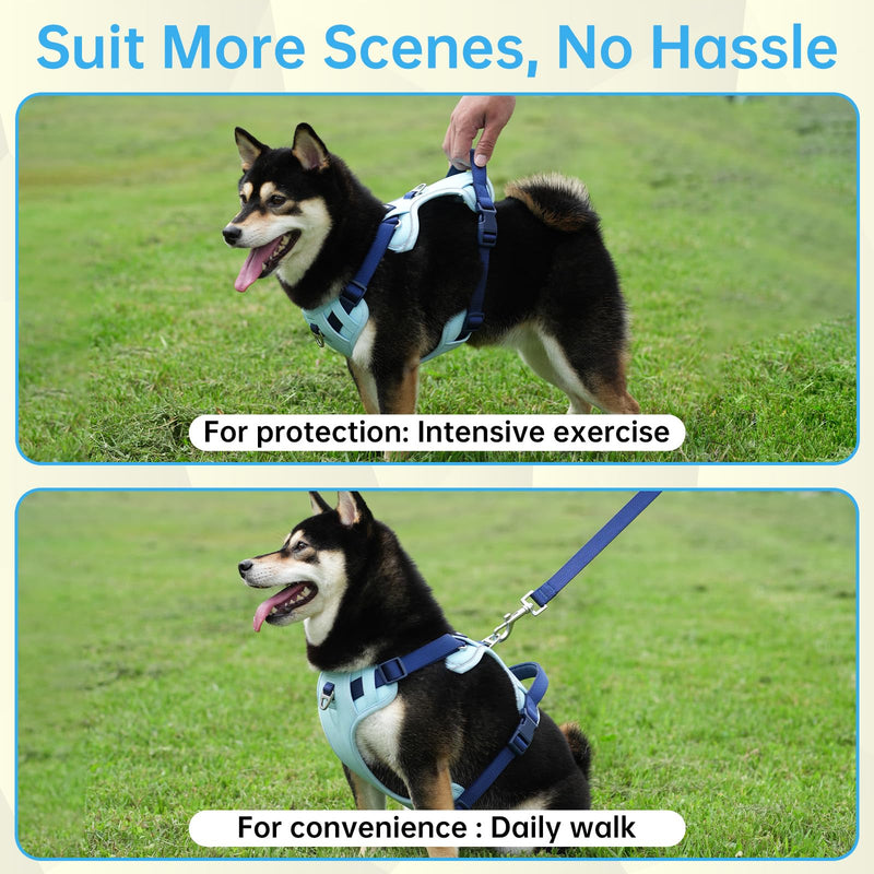 3 in 1 No Pull Dog Harness Leash and Collar Set, Soft Adjustable Dogs Vest Reflective and Comfortable Handle Blue Medium M(Neck:15-22",Chest:21-27") 44-65 lbs