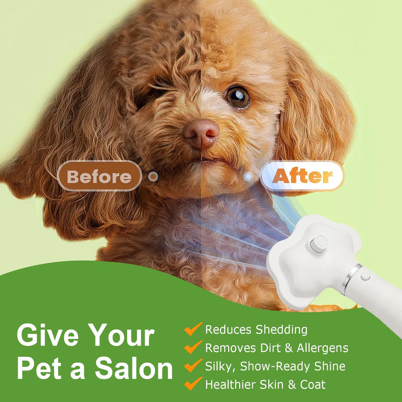Professional Pet Grooming Dryer Brush – 3-in-1 Dog Blow Dryer with Slicker Brush, Adjustable Temp, Overheat Safe, Salon Quality - PawsPlanet Australia