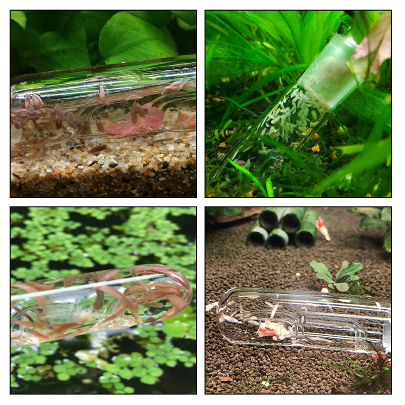 WEAVERBIRD Planaria Trap Catch Trap Leeches Catcher, Clear Glass Leech Trap Tube Catcher 2, 8 Holes for Cherry Shrimp Crystal Red Shrimp Dwarf Shrimp for Aquarium Fish Tank