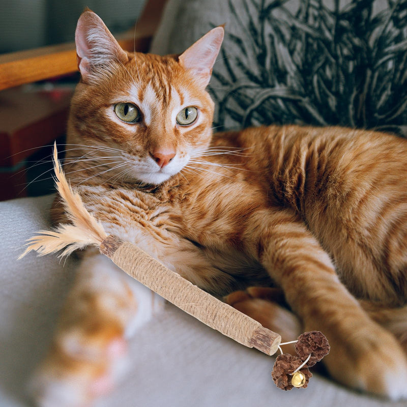 iplusmile 5 pcs Cat Toy Bites made from Actinidia Polygama and Cecidum Fruit for Cats for Dental Care and Indoor Activity