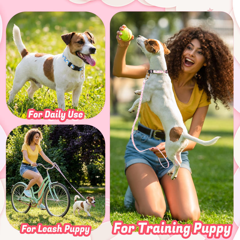 6 Pack Dog Collar and Leash Set, Puppy Collar and Leash Adjustable Floral Dog Collars for Small Dogs Soft Pet Collar for Puppy Small Dogs