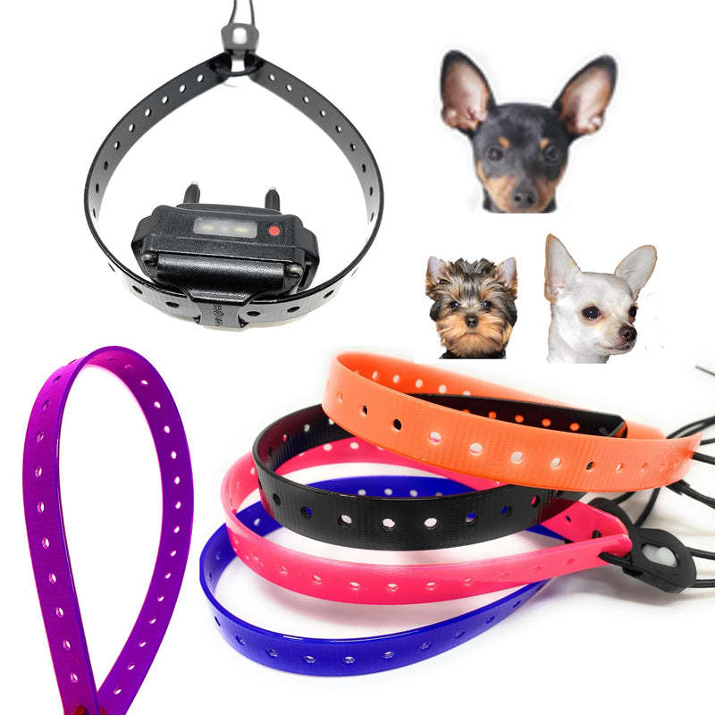 Replacement GPS eCollar with Adjustable Bungee, Multi-Hole Design, and Secure Toggle Closure for Small Dogs (Black, Small Neck) Small Dog 3/4" Black - PawsPlanet Australia