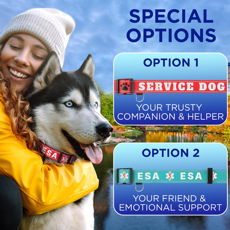 TECEUM Reflective Pet Collar – Red - ESA – XL – Basic Nylon Dog Collar – Quick Release Buckle – Fits Small, Medium and Large Dogs, Puppies, Cats – ESA & Service Dog Options