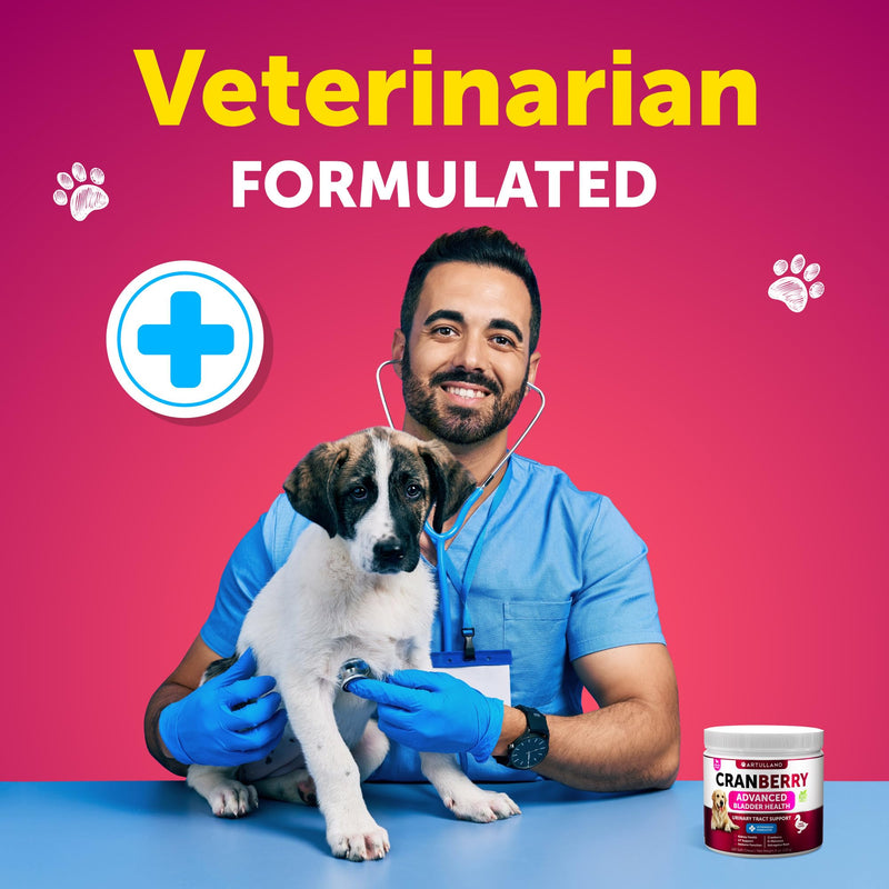 Dog UTI Treatment - Cranberry Supplement for Dogs - Bladder Control for Dogs - Dog Urinary Tract Infection Treatment - UTI Medicine for Dogs - Dog Cranberry Supplement - Kidney Support - 120 Chews