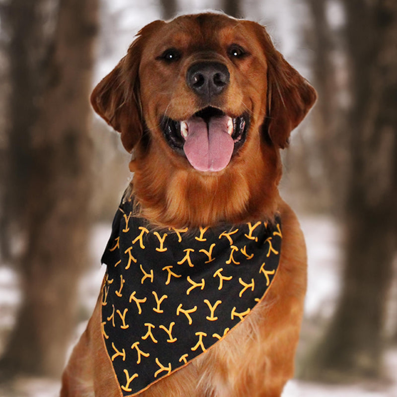design LAB, Inc. Yellowstone Official Merchandise | Dog Toy and Western Accessories Bandana Set | Plush Stuffed Animal Bison & Yellowstone Bandanas - PawsPlanet Australia