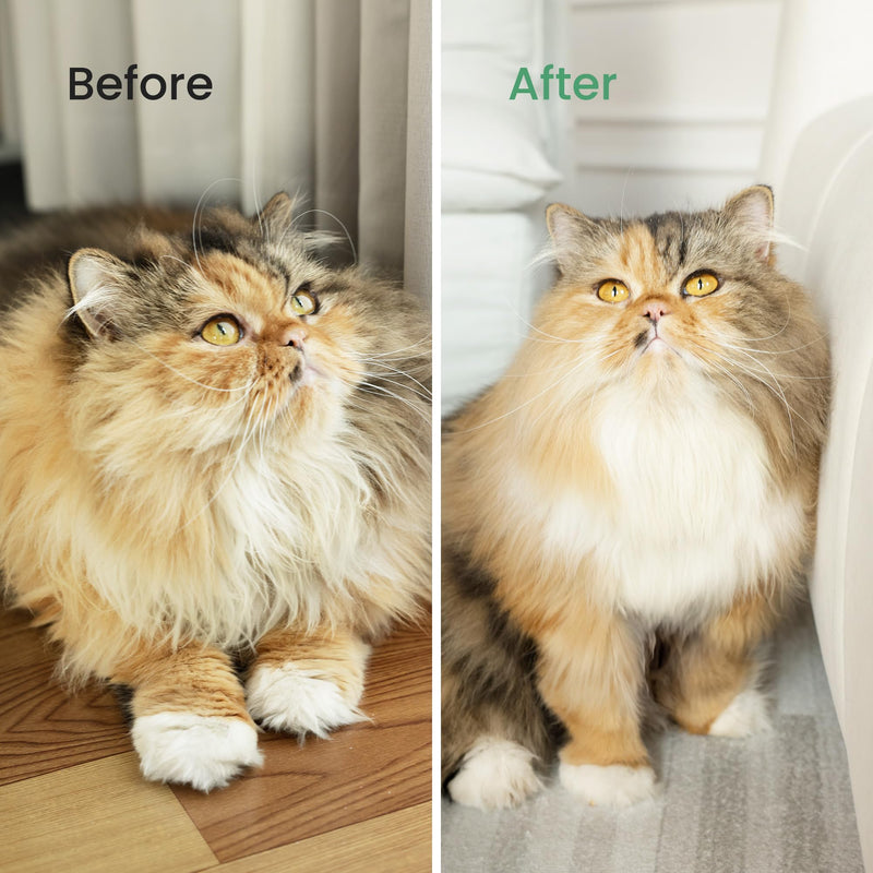 PawRake, Cat and Dog Brush for Shedding and Undercoat Dematting, Pet Grooming Tool for Medium to Long Hair Pets, Skin-Safe and Lightweight - PawsPlanet Australia