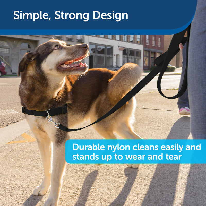PetSafe Nylon Dog Leash – Strong, Durable, Traditional Style Leash with Easy to Use Bolt Snap for Small, Medium and Large Dogs – 1" x 6', Black - PawsPlanet Australia