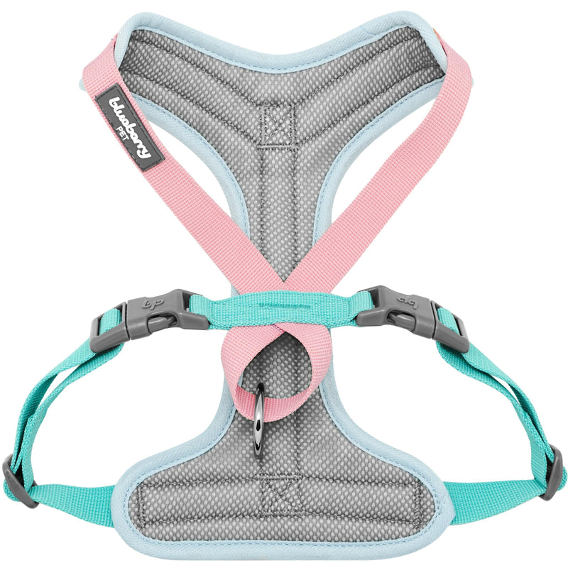Blueberry Pet Vibrant Mesh Padded Ultra Cool Lightweight Dog Harness Vest in Coral, Small, Neck 15¾", Chest 14¾"~21" - PawsPlanet Australia