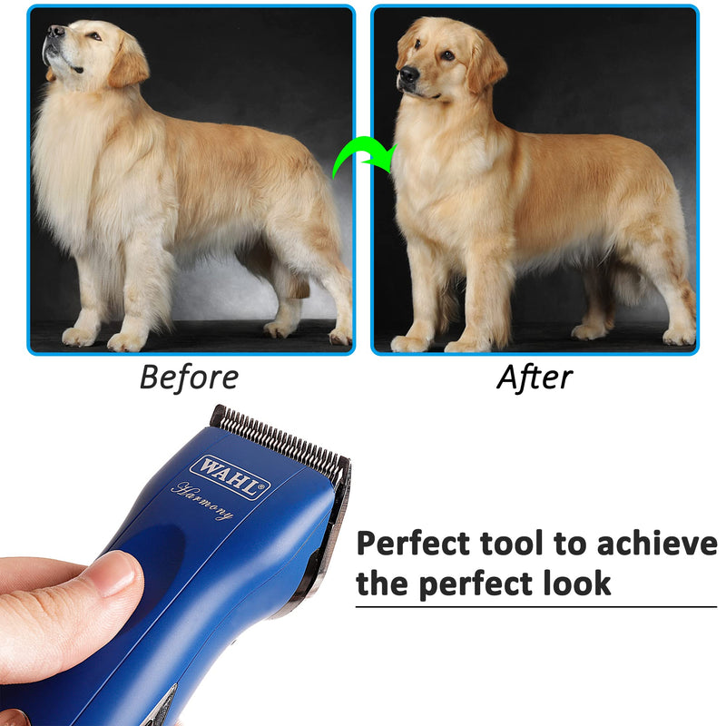CR8GR8 Dog Grooming Clippers Hair Clipper Combs Guides Low Noise Professional Pet Attachments Replacement Guards 25mm(New) A:25mm S - PawsPlanet Australia