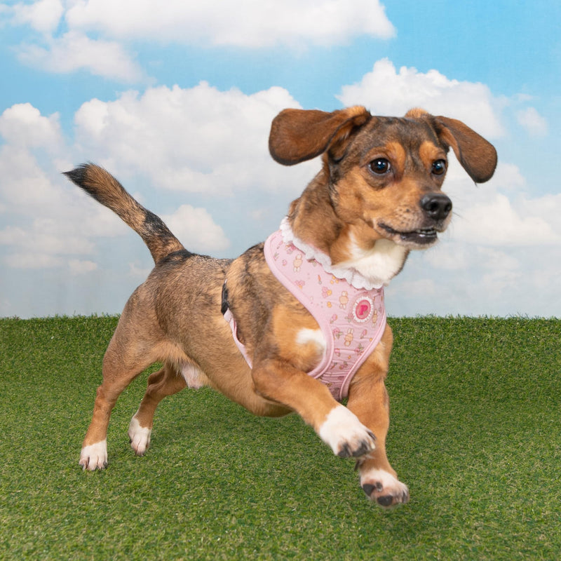 Pinkaholic New York Amara Dog Harness (Over-The-Head) Flower Pattern Fashionable Cute Spring Summer Harness for Small Dogs, Light Pink, Large - PawsPlanet Australia