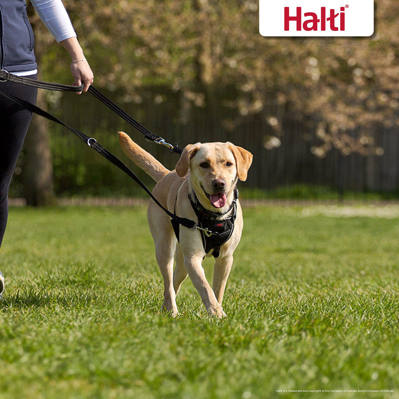 HALTI Training Leash - Multifunctional Double-Ended Dog Leash, Ideal for Anti-Pulling Dog Training. Easy to Use, Lightweight & Durable. Suitable for Medium to Large Dogs & Puppies (Size Large, Black) - PawsPlanet Australia