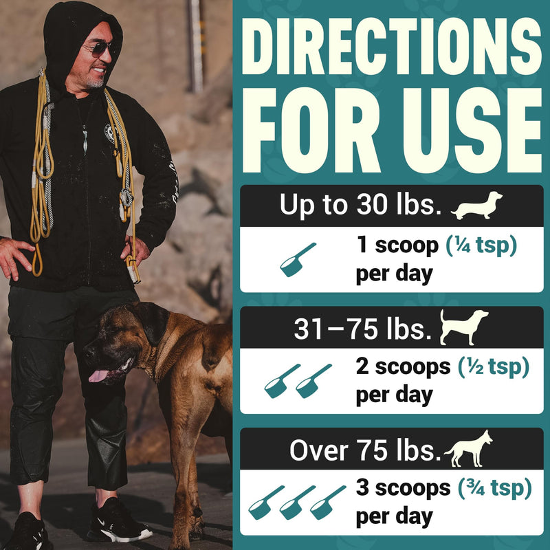 Better Dog Supplements Forever Active by Cesar Millan – Natural Hip & Joint Support Powder for Dogs – Mobility, Flexibility & Comfort with Boswellia, Devil’s Claw & Herbal Blend – 4oz (60-Day Supply) - PawsPlanet Australia