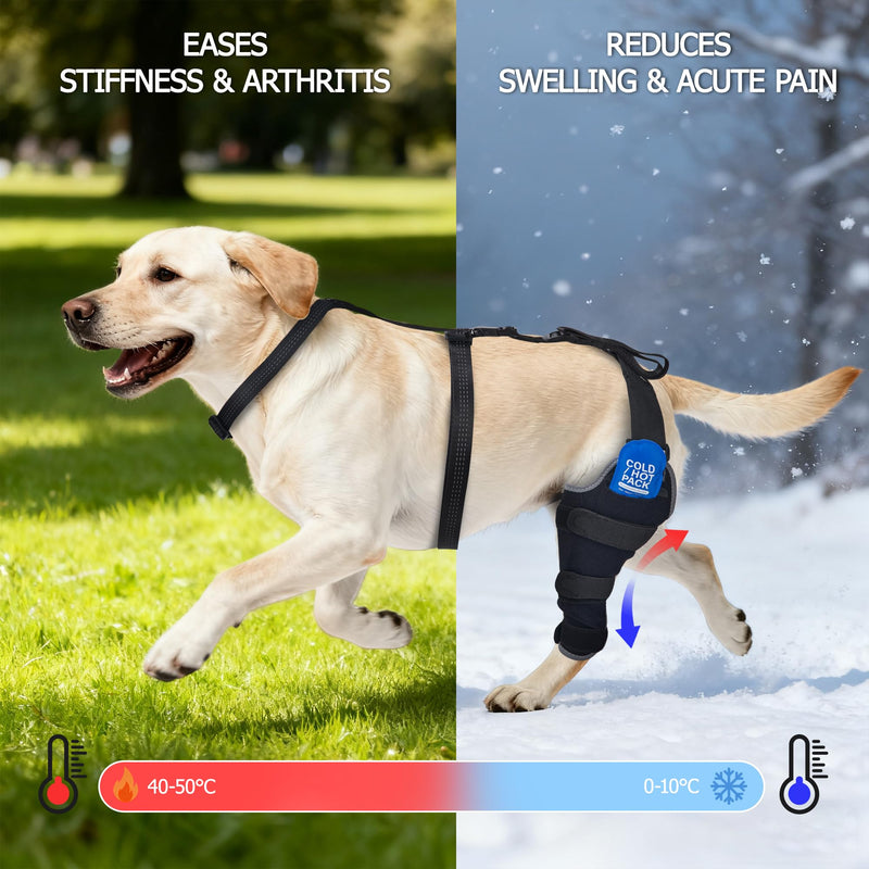 Aeegee Dog Rear Leg Knee Support, Hot/Cold Therapy Care, Effectively Relieves Pain from Arthritis, Hip Dysplasia, and ACL Injuries (Left, L) Large Left Leg