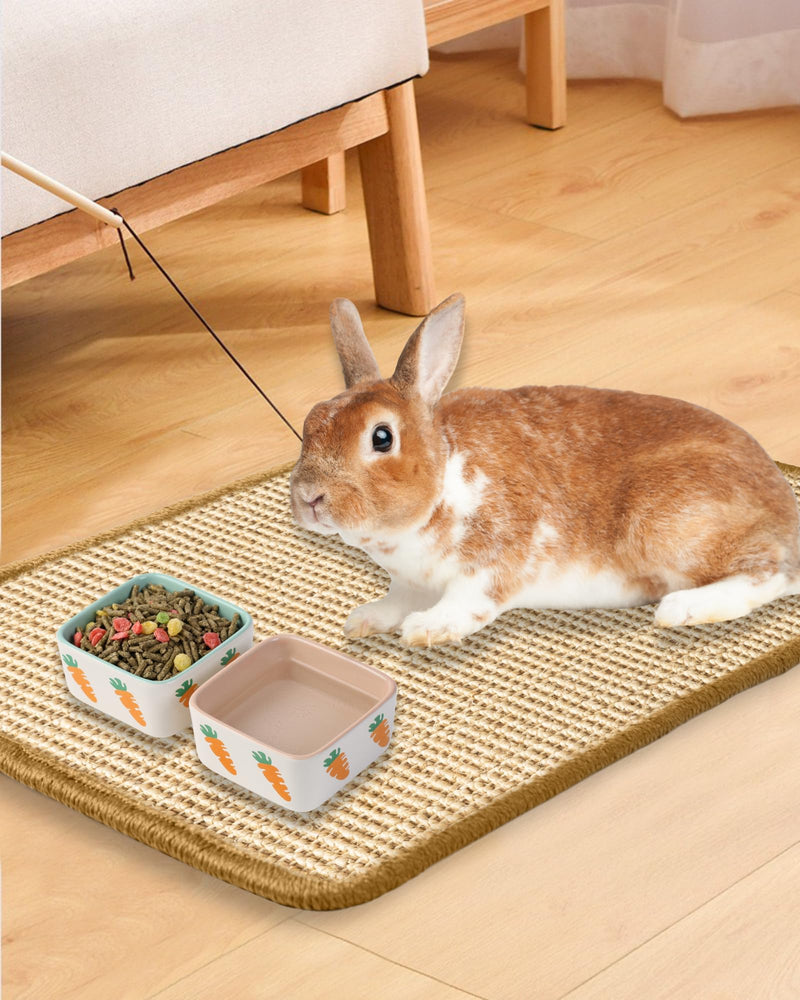 JanYoo 2 Pieces Bunny Scratch Pads, Sisal Rabbit Scratching Pad Bunny Scratcher Mat Guinea Pig Resting Mats for Cages, Small Animal Claws and Teeth Care Bedding Accessories(15.7x11.8in, Beige) 3-Beige - PawsPlanet Australia