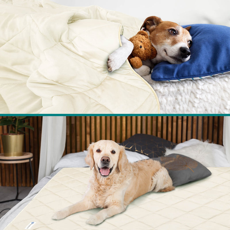PetAmi Premium Cooling Dog Blanket | Lightweight Fluffy Pet Throw Blanket Bed Cover for Dogs, Cat, Puppies | Pet Blanket Furniture Protector Couch Sofa | Reversible Fuzzy Cozy | 40x60, Beige Latte Beige Cream Large (40x60) - PawsPlanet Australia