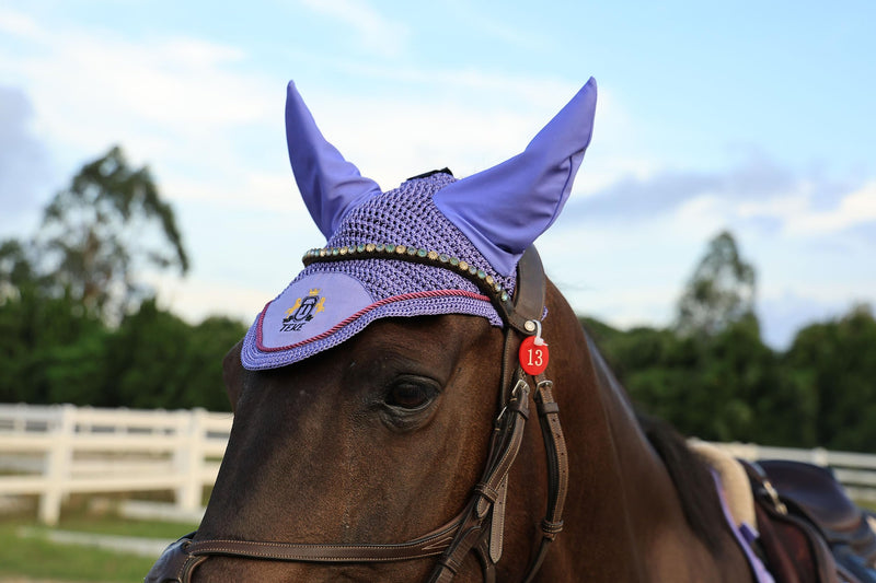 T TEKE Gorgeous Horse Ear Bonnet, 68% Viscose + 32% Acrylic Hand Crocheted mesh with Stylish Piping, Spandex Ears Horse (12-15.3HH) Lavender