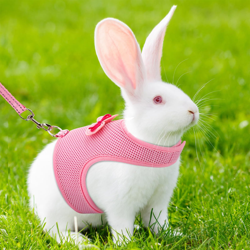 AIITLE Bunny Harness and Leash Set, Soft Breathable Mesh Vest Harness with Cute Bow for Rabbits Kitten Ferret Small Pig Puppy Walking Supplies Pink M Medium - PawsPlanet Australia
