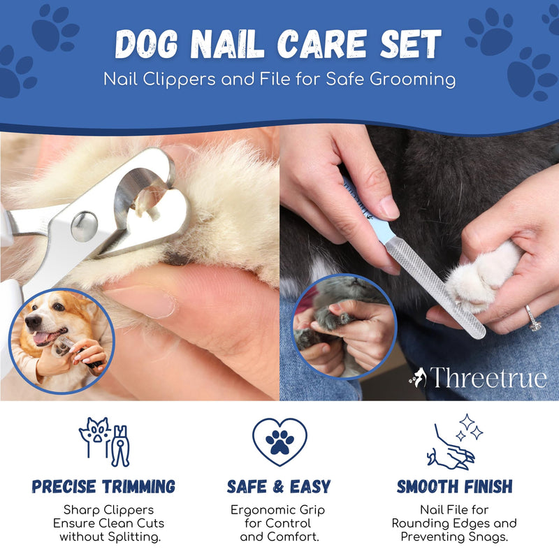 Complete Dog Brush set, 5-in-1 Grooming kit with Slicker Brush, Rubber Massage Brush, Nail Clipper, File, and Undercoat Rake. - PawsPlanet Australia