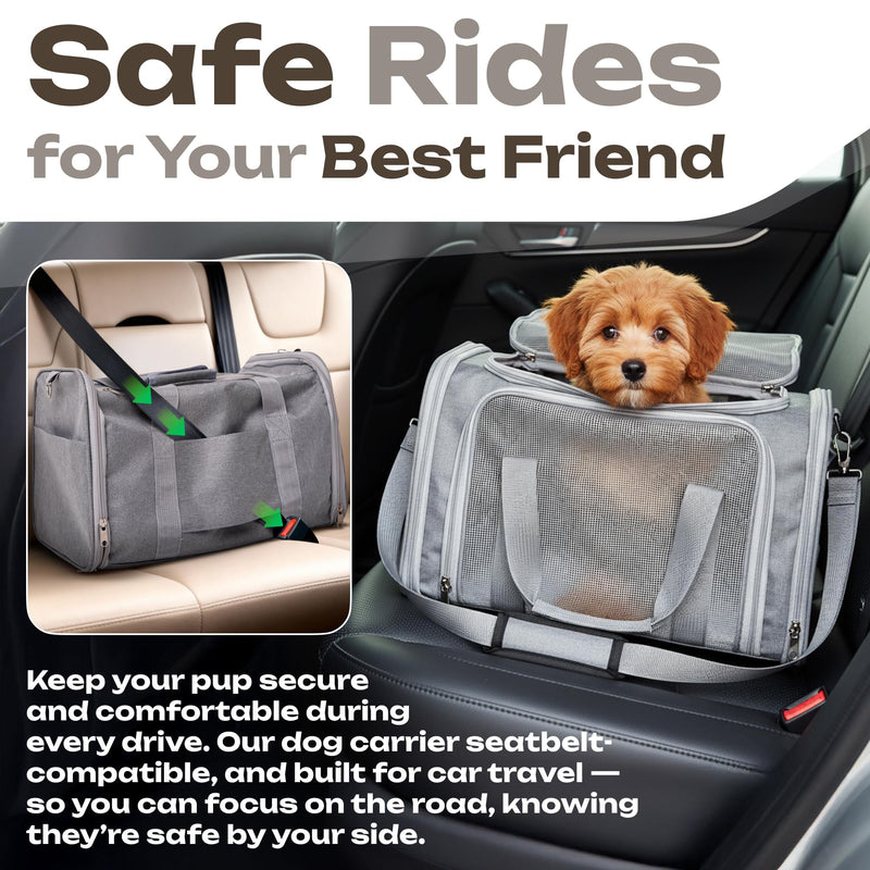 Airline Approved Medium Pet Carrier for Cats & Dogs – Foldable Dog Bag with Soft Mat, Breathable Mesh Windows, Travel-Ready Cat Carrier (Up to 15 lbs, Grey) - PawsPlanet Australia