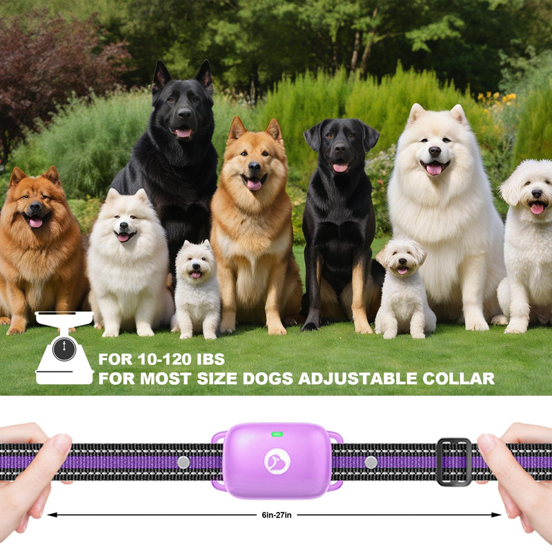 Dog Traning Collar - 2600FT Shock Collar for Dogs with Remote Control, IP68 Waterproof 3 Modes (Beep/Vibration/Shock) Ecollar, Security Lock for Large Medium Small Dogs, Purple 3x Dogs (Purple)