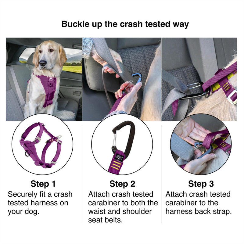 Kurgo Enhanced Strength Tru-Fit Dog Car Harness - Pet Travel Safety Harness - Crash Test Certified Fit - Five Point Adjustment - Secure Buckle - Padded Chest - Deep Violet - Large - PawsPlanet Australia