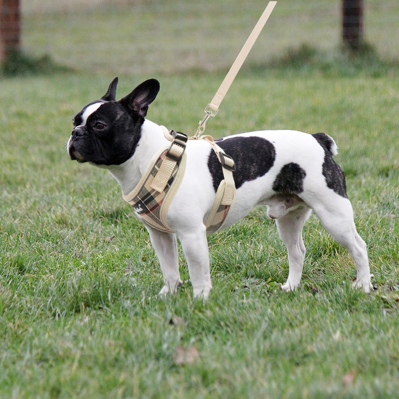 PUPTECK Soft Mesh Dog Harness and Leash Set Pet Puppy Cat Adjustable Reflective Padded Vest No Pull Harnesses, Beige, S S (NECK: 13-15", CHEST: 14-18") - PawsPlanet Australia