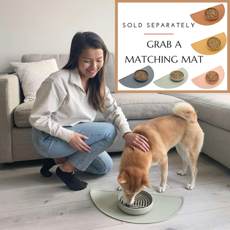 The Slowdown Bowl - Silicone Slow Feeder, Slow Eating, Modern Lick Mat Design, Reduces Gulping, Dishwasher Fit, for All Cat & Dog Breeds, Mealtime Challenge, Small-Spruce Spruce - Rainbow Design - PawsPlanet Australia