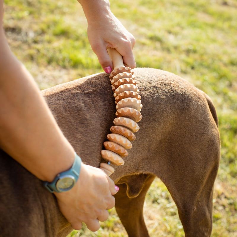 tuuli Wooden Massager Dog Cow Horse Massage Brush Pet Massage Brush