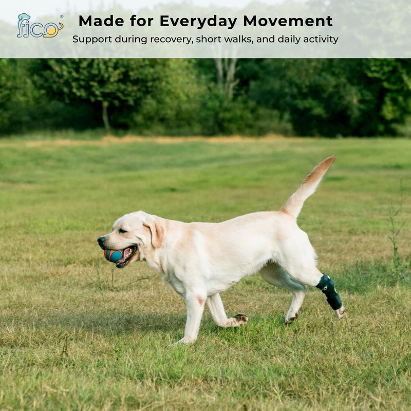 Dog Hock Brace for Ankle Support & Arthritis, Vet Approved Dog Back Leg Brace, Adjustable with Removable Splints, Orthopedic Support for Injuries, Sprains & Post-Surgery Recovery (Medium) Medium