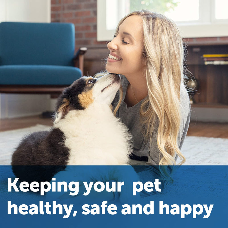 PetSafe, Collarless Ultrasonic Remote Trainer, Two Tone, Safe, Anti Bark, Black Anti-bark 2 in 1 Trainer - PawsPlanet Australia