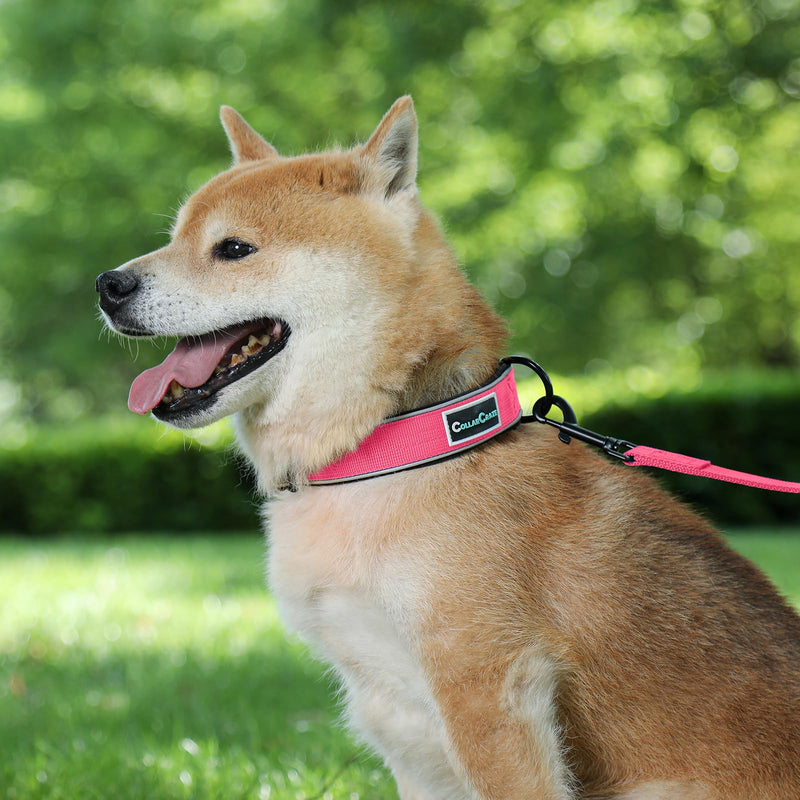 Dog Collar for Small Medium Large Dogs, Reflective, Adjustable Heavy Duty Dog Collar, Soft Neoprene Padded Comfortable for Walking (Pink, L) Pink - PawsPlanet Australia