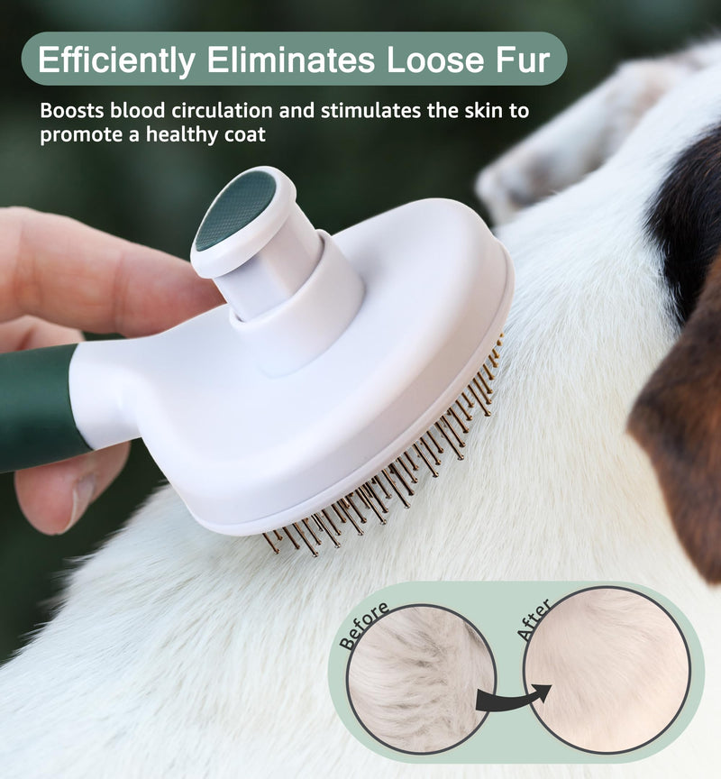 Pet Self-Cleaning Slicker Brush for Dogs & Cats, Deshedding Grooming Comb, Removes Loose Undercoat Hair & Mats, Skin-Friendly Massaging Tool for Long/Short Fur, Large & Small Breeds (Green) Green - PawsPlanet Australia
