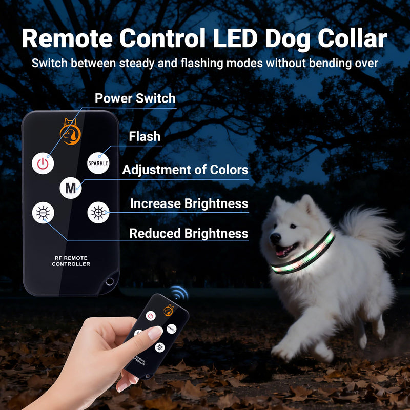 Light Up Dog Collar, USB Rechargeable, Waterproof LED Dog Collar with Remote Control, Adjustable Strap, Suitable for Small, Medium, and Large Dogs (Medium) - PawsPlanet Australia